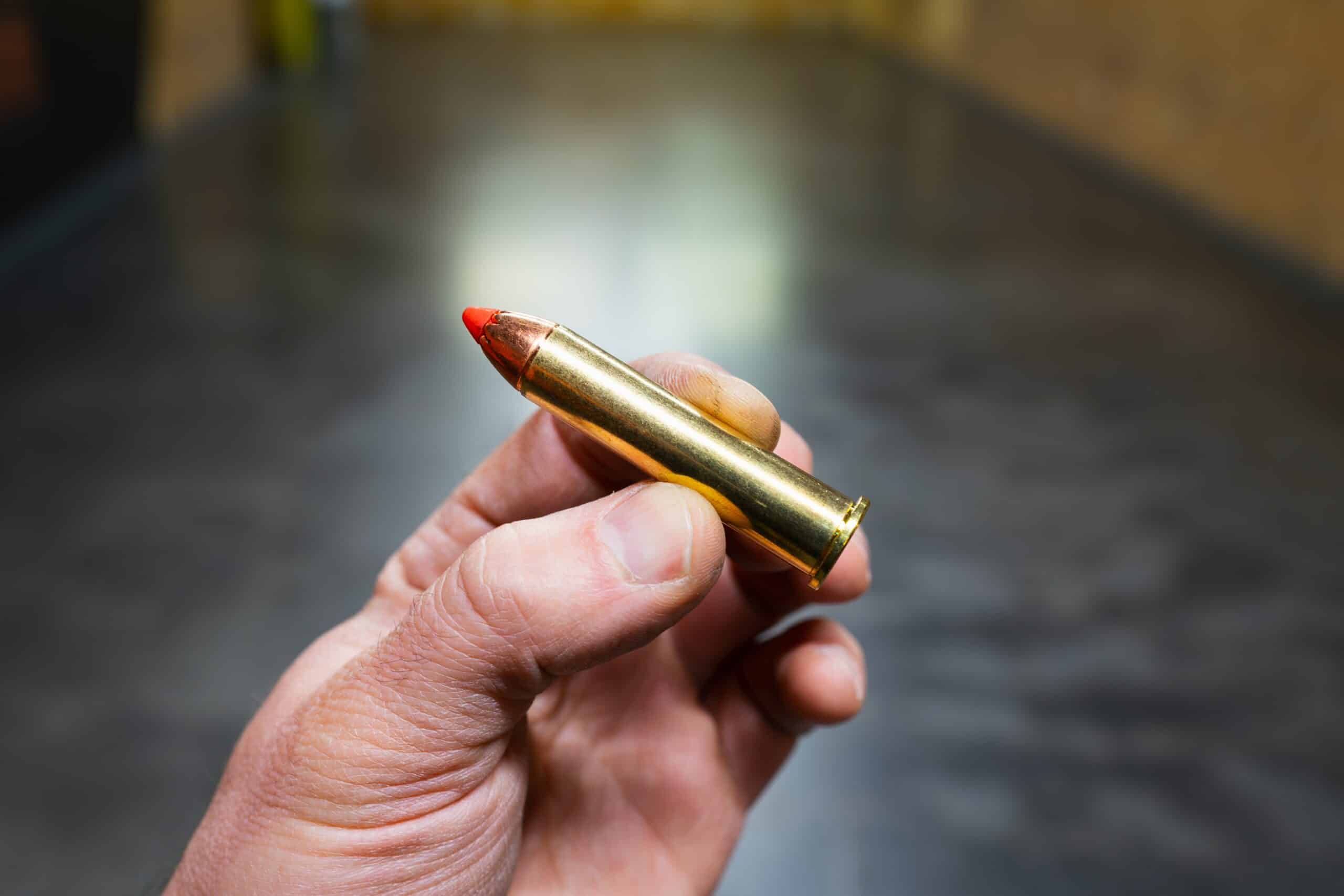 .45-70 Government