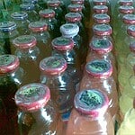 Fruitopia