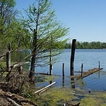 Louisiana