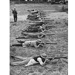 Lee-Enfield rifle