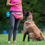 Fanny Packs