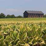 Kentucky