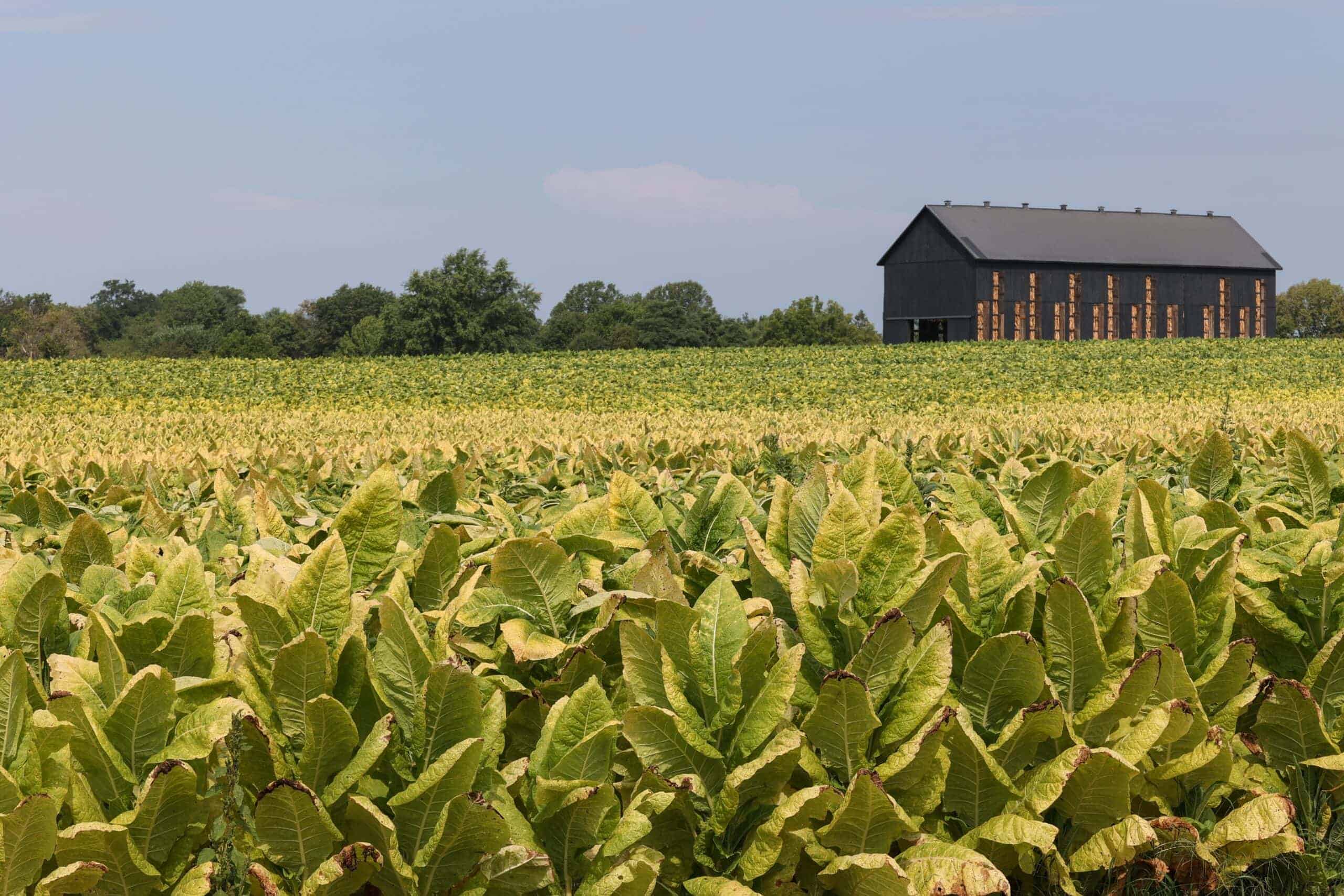 Kentucky