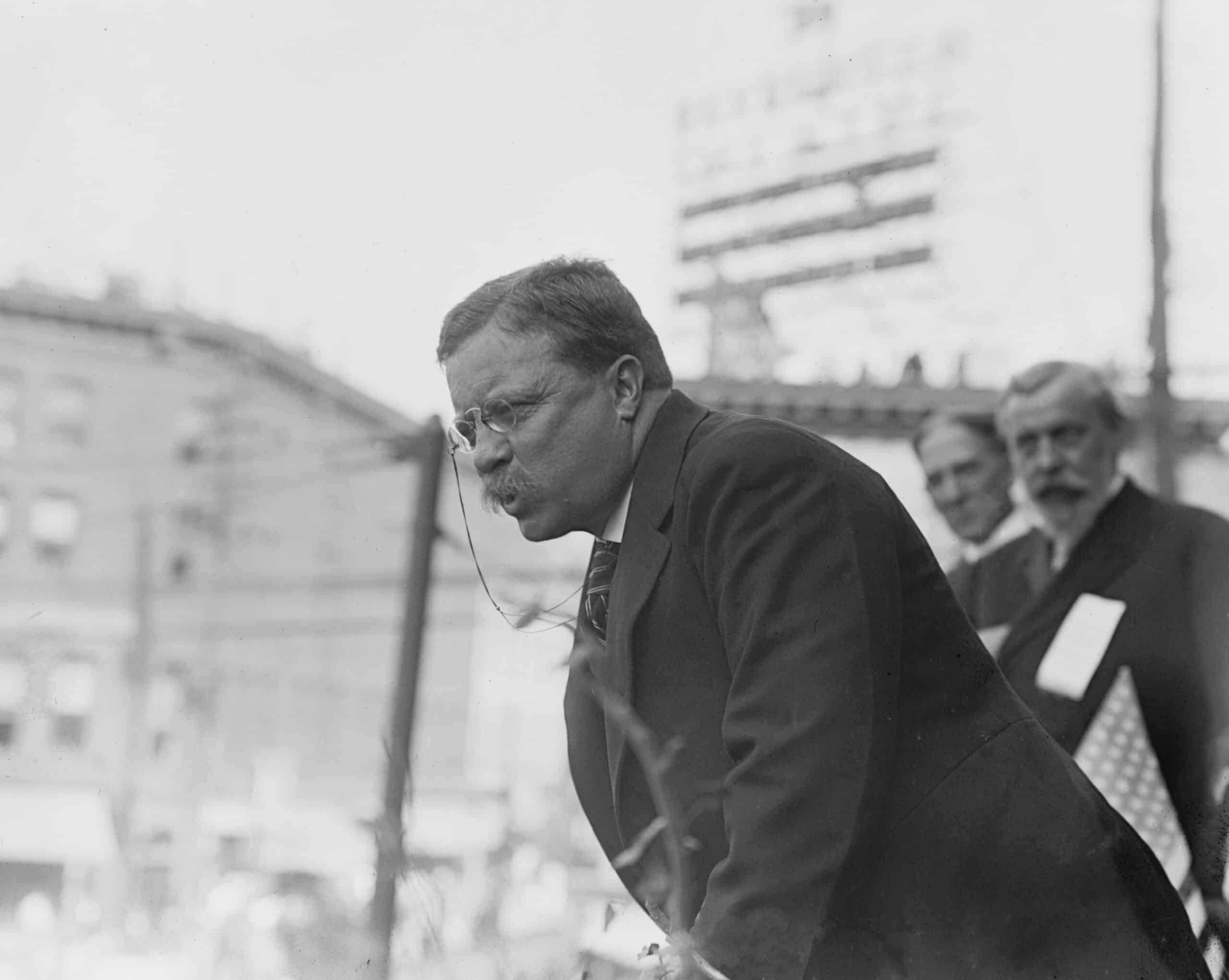 "Speak softly and carry a big stick..." by Theodore Roosevelt