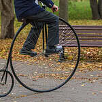 The Bicycle